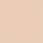 LIQUID FOUNDATION (MAQUILLAJE LÍQUIDO)